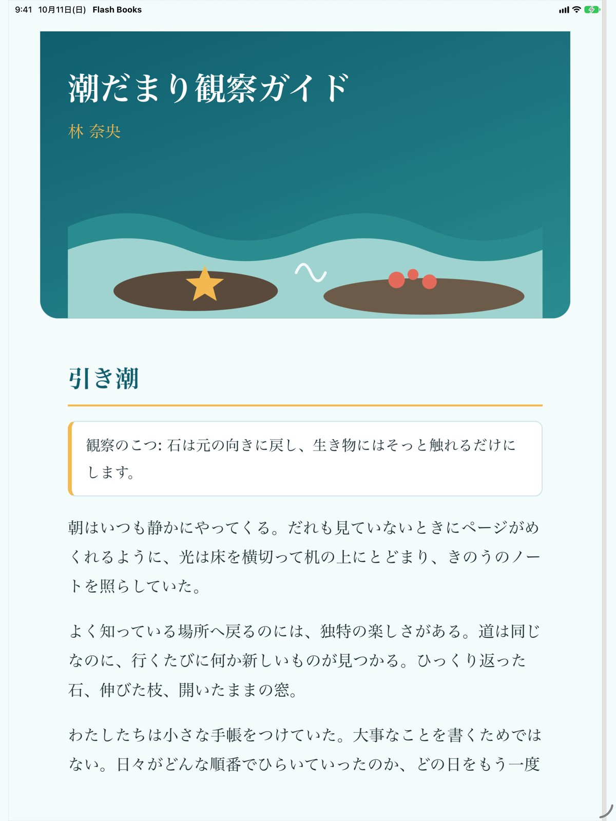 iPad で HTML の文書をページで表示した画面
